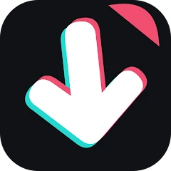 TT Video Downloader