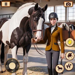 Equestrian Horse Riding