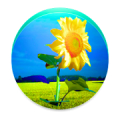 Sunflower PRO - Weather map Mod