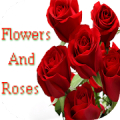 Flowers And Roses Images Gif Wallpaper 4K Mod