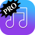 MP3 Music Player - PRO Mod