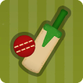 Village Cricket icon