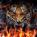 Tiger Afire LWP Mod