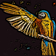 Exotic Birds Wallpaper Art (HD) icon