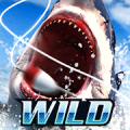 Wild Fishing Simulator Mod