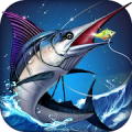 Fishing - Catch hungry shark Mod