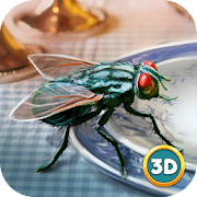 Insect Fly Simulator 3D Mod