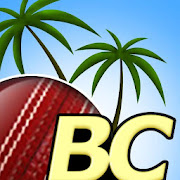 Beach Cricket Pro Mod