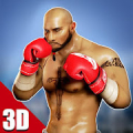 الملاكمة 3D - لكمة الفعلية Mod