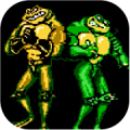 BattleToads Mod