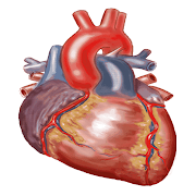 Heart Sounds icon