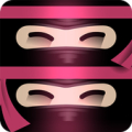 The Last Ninja Twins Free icon
