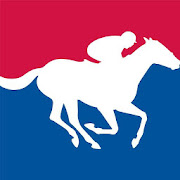 Horse Racer - Horse Racing simulation game