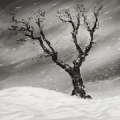 Одинокое дерево (зима) Mod