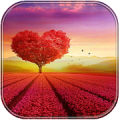 Sunset Wallpapers APK