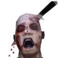 The Last Zombie Hunter icon