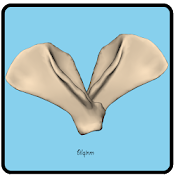 Veterinary Anatomy Mod Apk