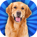 Virtual Puppy & Dog Adventure : My Family Pet Game icon
