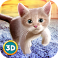 Home Cat Survival Simulator 3D Mod