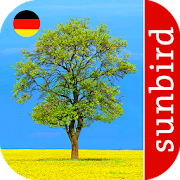 Baum Id - Deutschlands Bäume Mod