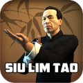 Wing Chun Kung Fu: SLT Mod