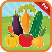 Vegetables Alphabet For Kids - Name & Match Games Mod Apk [Paid for free][Free purchase]