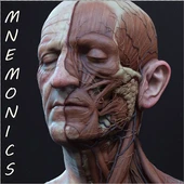 Medical Mnemonics Mod Apk 3.1.1.49 [ازالة الاعلانات][شراء مجاني][لا اعلانات]