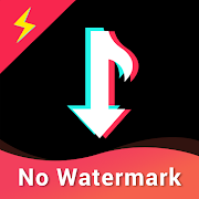 TikSaver - Tiktok Video Downloader No Watermark