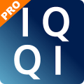 IQQI 輸入法專業版 手寫 注音 倉頡 Mod