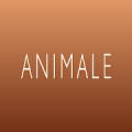 Animale - Moda Feminina Mod