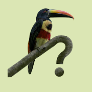 Costa Rica Birds Fieldguide Mod