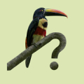Costa Rica Birds Fieldguide Mod