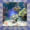 Coral Reef Live WP Mod