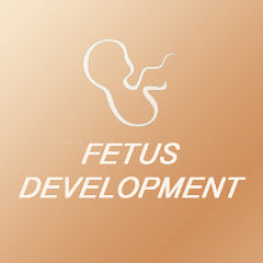 Fetus Development App Mod