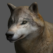 Wolf Pose Tool 3D Mod