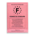 French Driving License Pro Mod