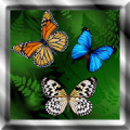 Butterfly Live Wallpaper Mod