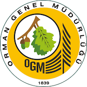 OGM Mod APK'sı