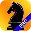 Chess Repertoire Manager PRO - Build, Train & Play icon