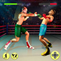 Ninja Punch Boxing Fighter Kung Fu Combat World icon