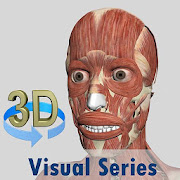 Visual Muscles 3D Mod