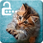 Little Kitten Pet Cat Cute Screen Lock Mod APK