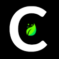 Codetak icon