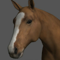 Horse Pose Tool 3D Mod