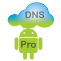 DNS Server Pro Mod