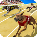 Dog Crazy Race Simulator icon