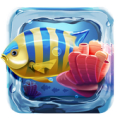 Aquarium Live Wallpaper icon