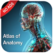 Gray's Atlas of Anatomy Pro (No Ads) Mod Apk [Paid for free][Free purchase]