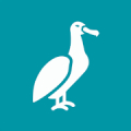 Albatross for Twitter icon