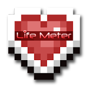 LifeMeter Mod